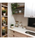 Amoblamiento de cocina laqueada