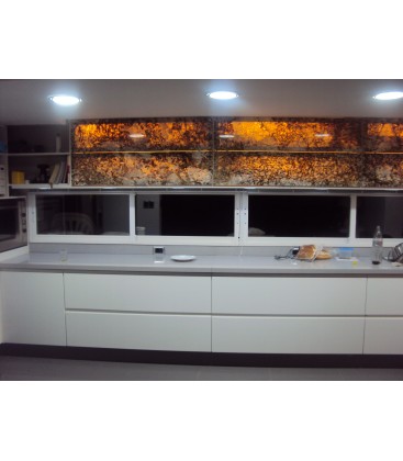 Equipamiento cocina Blanco